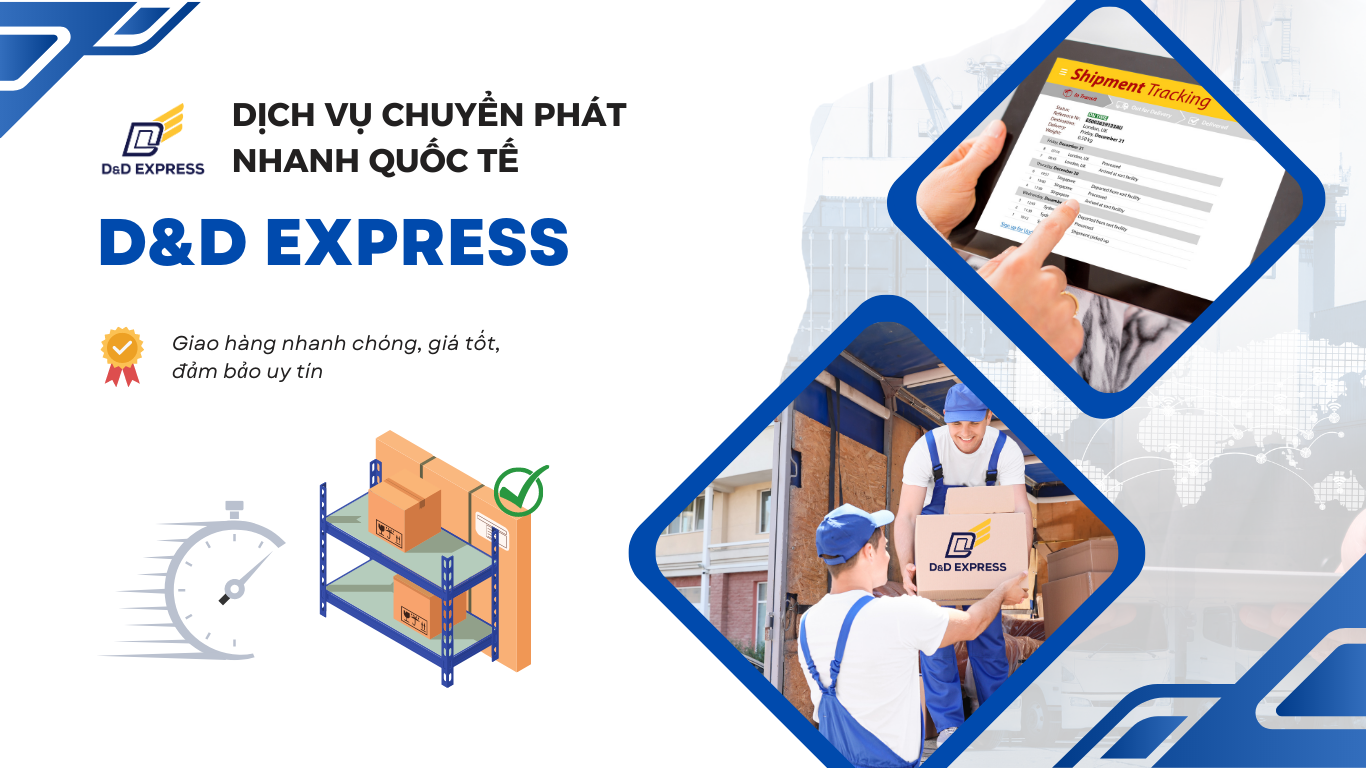 Trang chủ - D&D Express